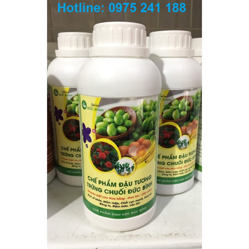 Phân hữu cơ đậu tương ủ trứng chuối 